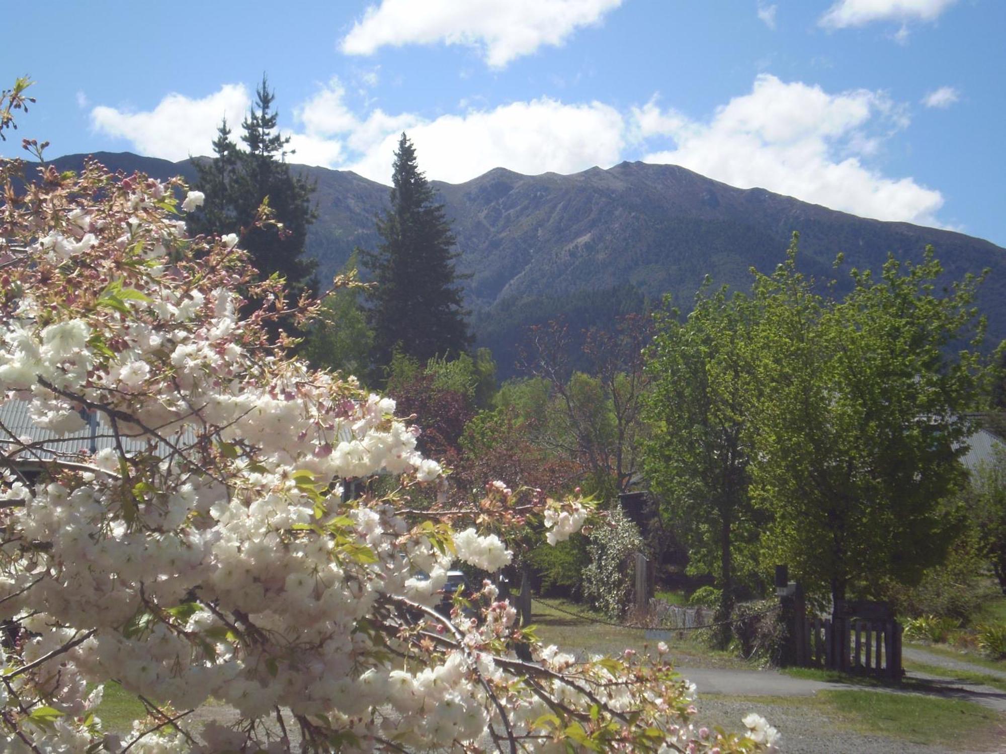 Harrogate Gardens Motel Hanmer Springs Exterior foto